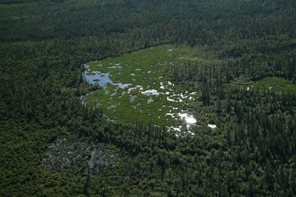 1 - Beaver Dam 2