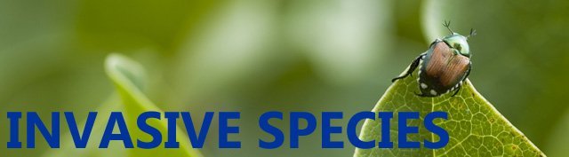 Invasive species