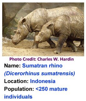 Sumatran_Rhino_Charles_W_Hardin