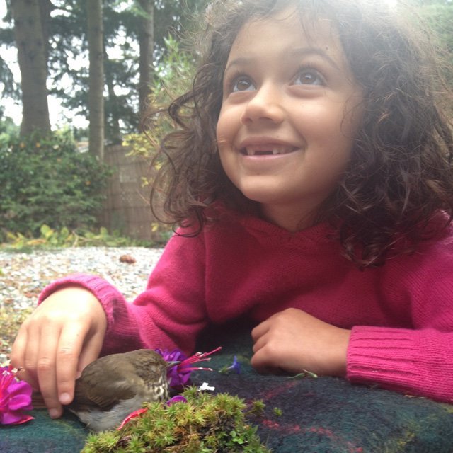 With hermit thrush (small)