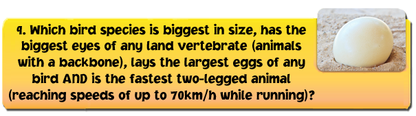 biggestbirds-1