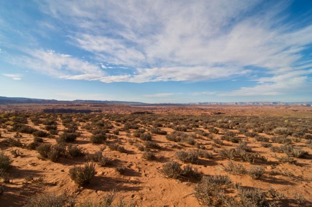 desert_biome desert biome