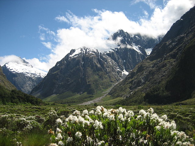 fiordland_national_park_new_zealand_marc_ mann fiordland national park new zealand marc mann