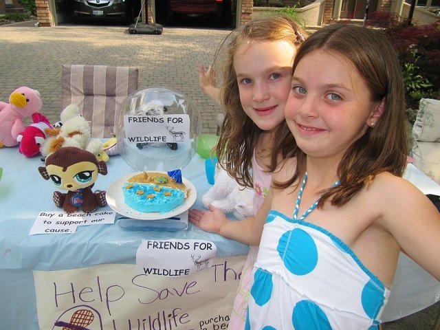 friends for wildlife friends for wildlife