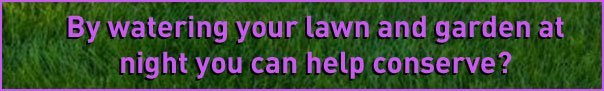 lawn lawn