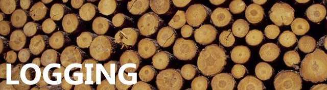 logging