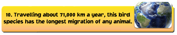migration-1