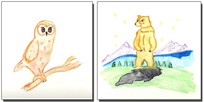 Vanessa loves to draw animals, especially owls!