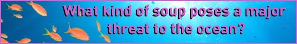 soup soup