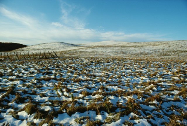 tundra_biome tundra biome