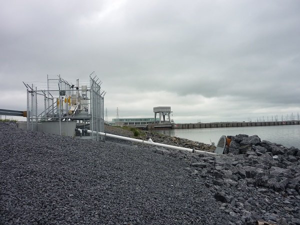 Eel ladder