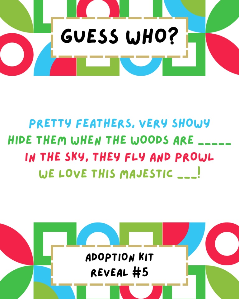 Guess Our Fifth Adoptable Animal!