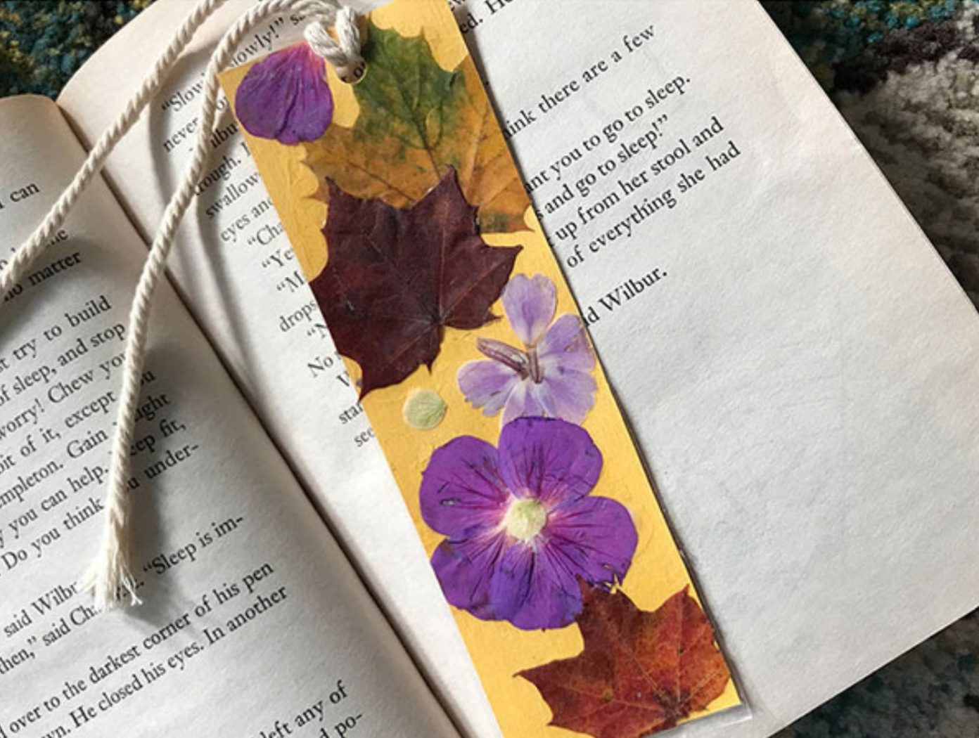 Eco-Activity: Pressed plant bookmarks - Earth Rangers