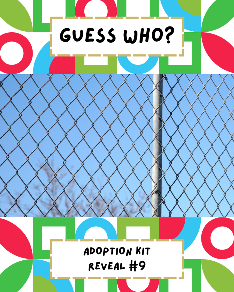 Guess Our Ninth Adoptable Animal!