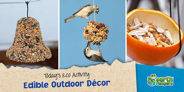 Eco-Activity: Edible outdoor decor