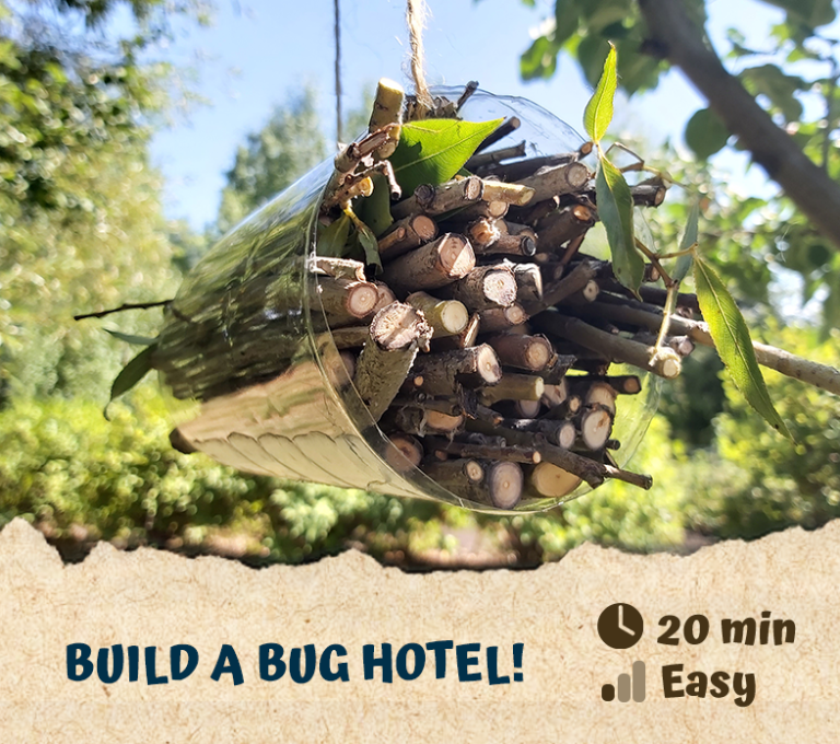 Build a Bug Hotel!