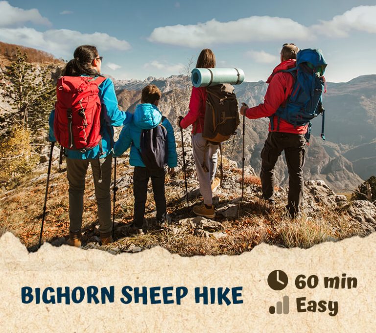 Bighorn Sheep Hike