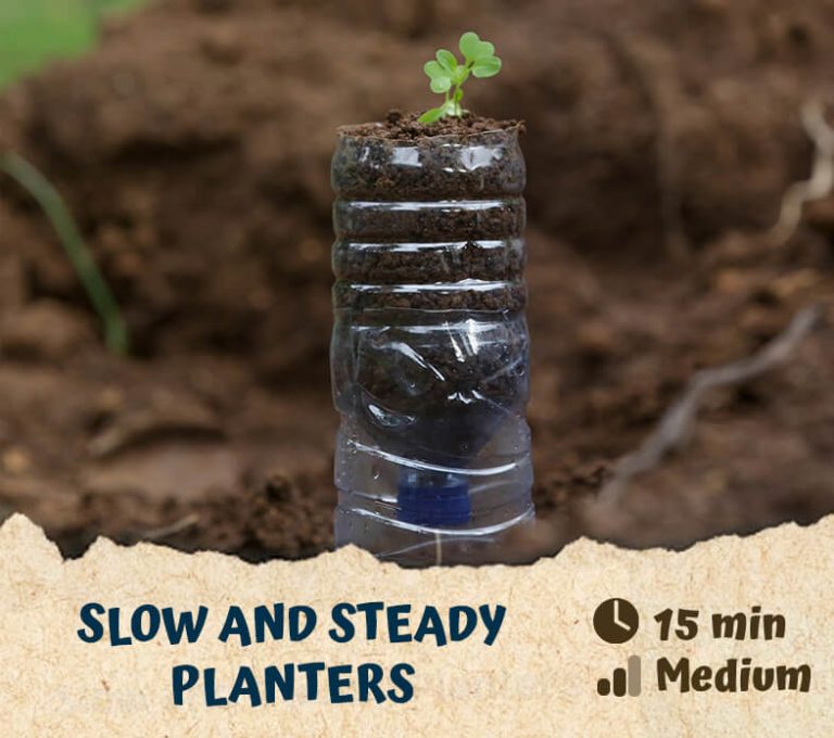 Slow and Steady Planters