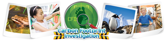 Time to start your Carbon Footprint Investigation!