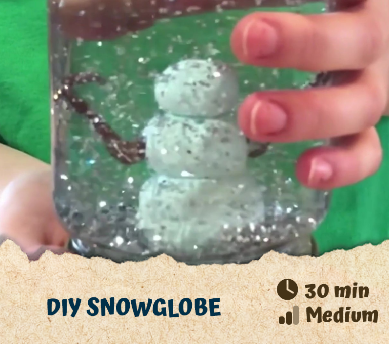 DIY Snowglobe