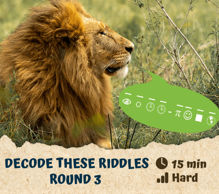 Decode These Riddles – Round 3