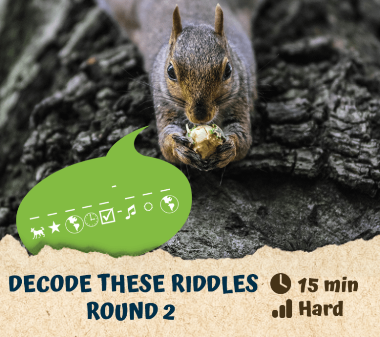 Decode These Riddles – Round 2