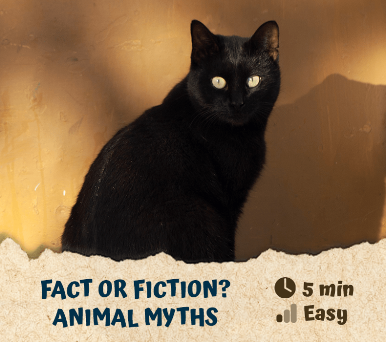 Fact or Fiction? Animal Myths