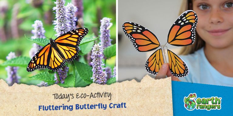 Fluttering Butterfly Craft