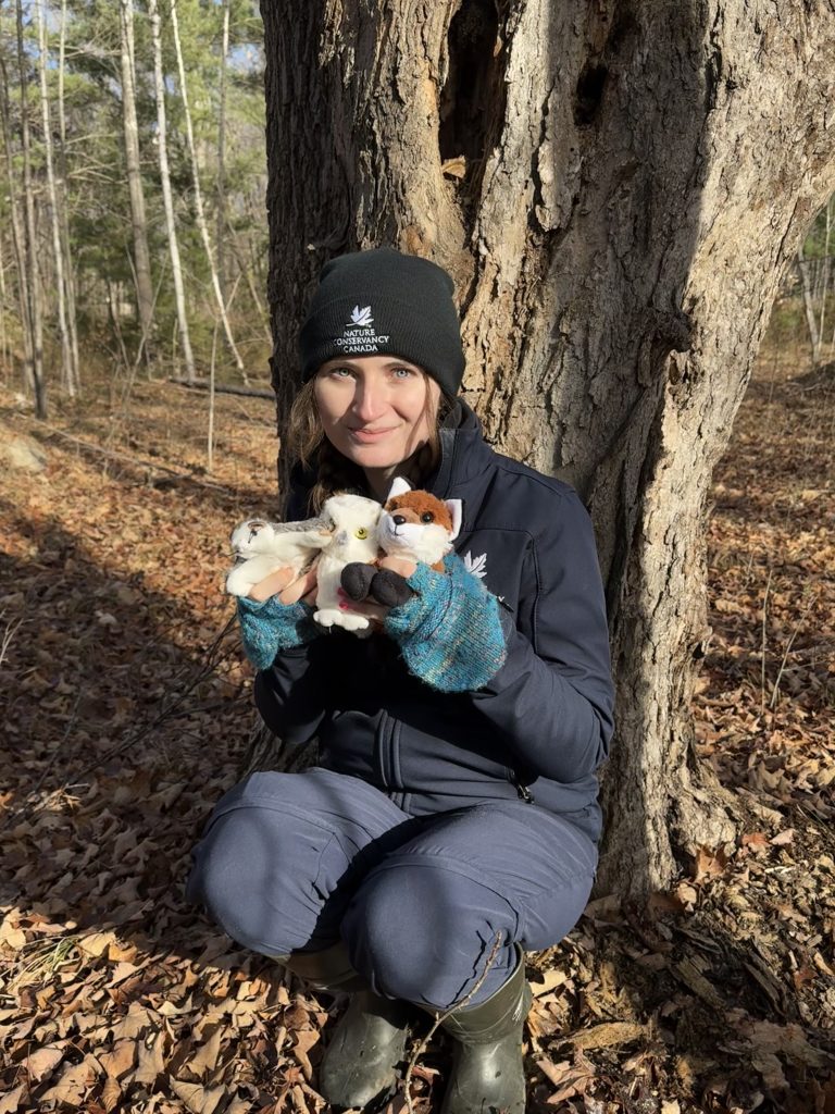 Foxes, Owls, and Flying Squirrels! An Adventure in the Ottawa Valley with Megan Quinn