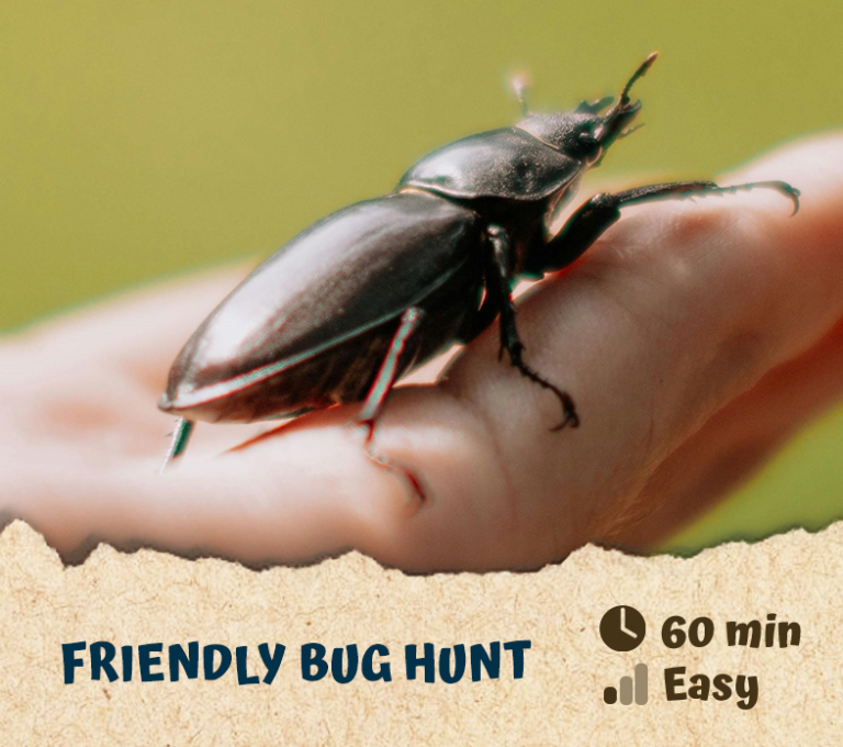 Friendly Bug Hunt