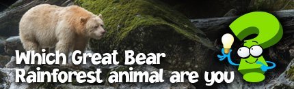 Which Great Bear Rainforest animal are you?