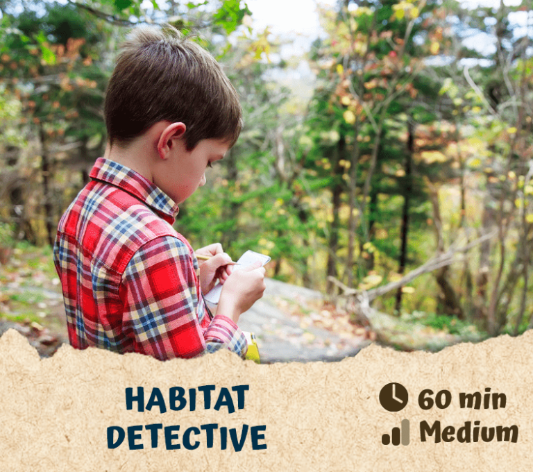 Habitat Detective