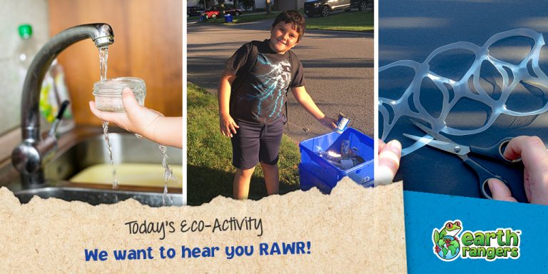 Eco-Activity: We want to hear you RAWR!