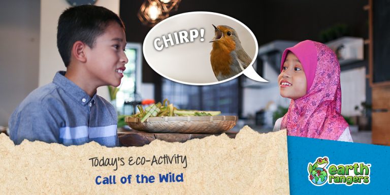 Eco-Activity: Call of the Wild