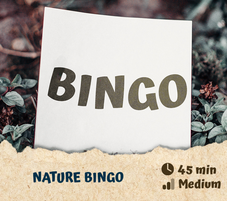 Nature Bingo