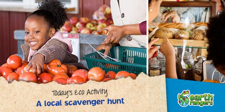 Eco-Activity: A local scavenger hunt