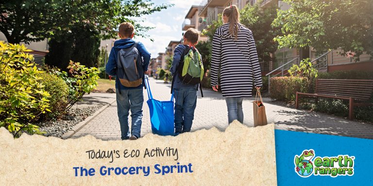 Eco-Activity: The Grocery Sprint