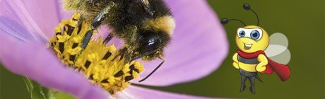 Pollinator Power Mission