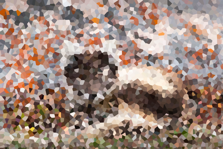 Pixel Puzzler #6: Guess the Animal, Part 1