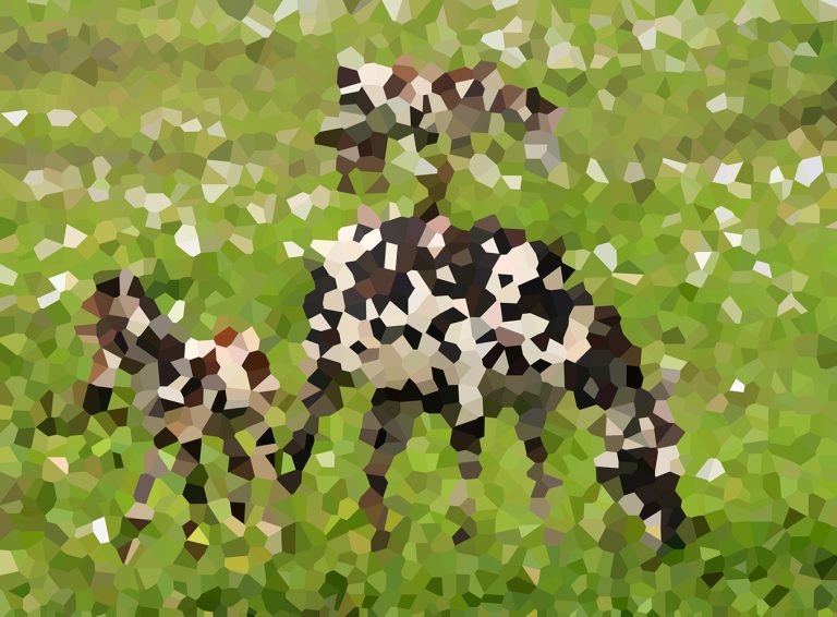 Pixel Puzzler #44: Part 1