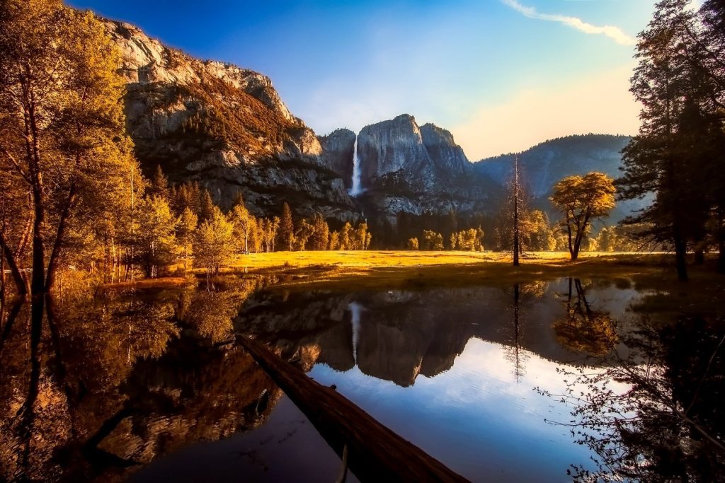 Ultimate Guide to National Parks: Yosemite - Earth Rangers
