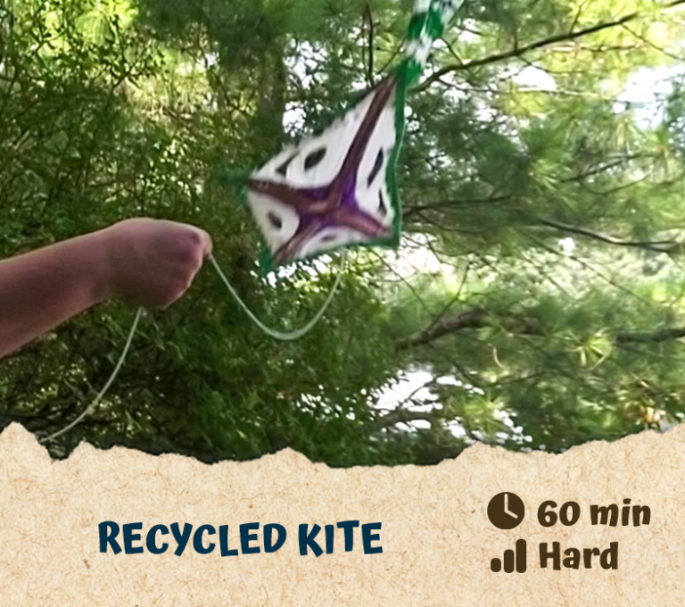 Recycled Kite