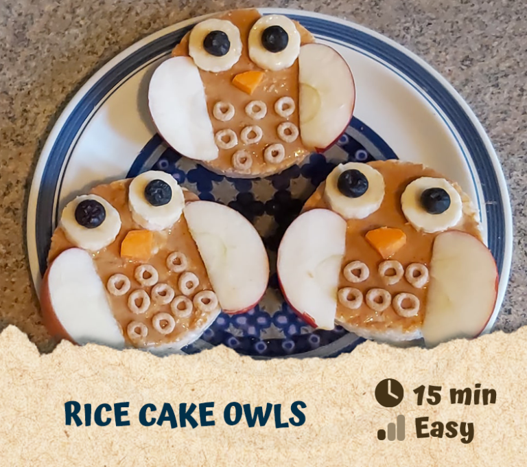 Rice Cake Owls