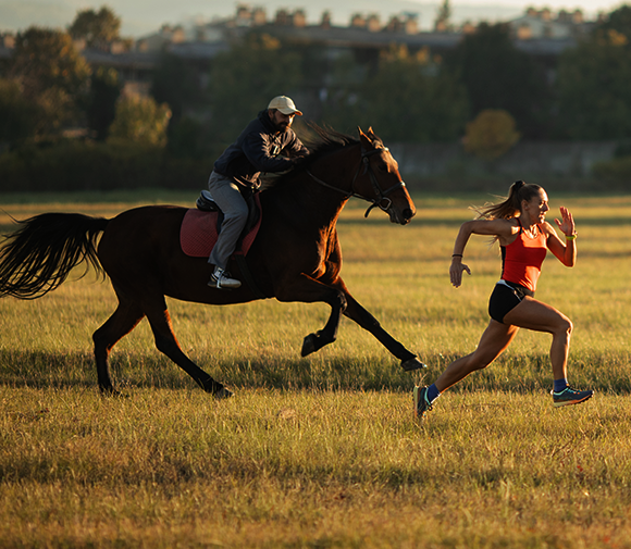 Who would win in a race between a human and a horse?