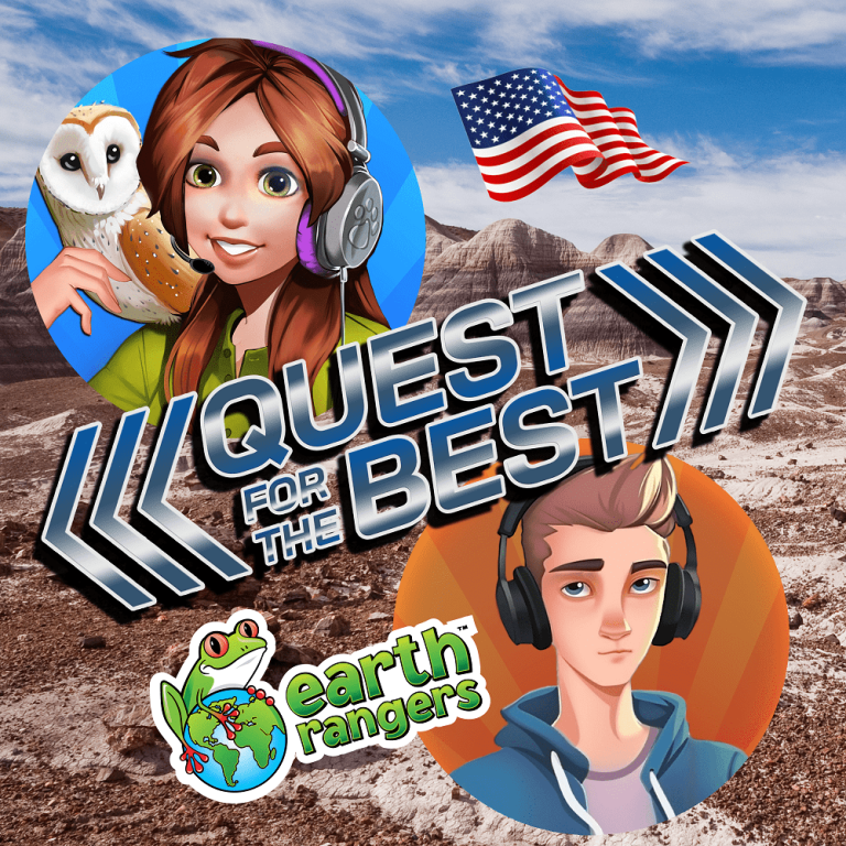 The Quest for the Best: Into the Petrified Forest