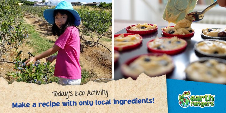 Eco Activity: Make a recipe with only local ingredients!