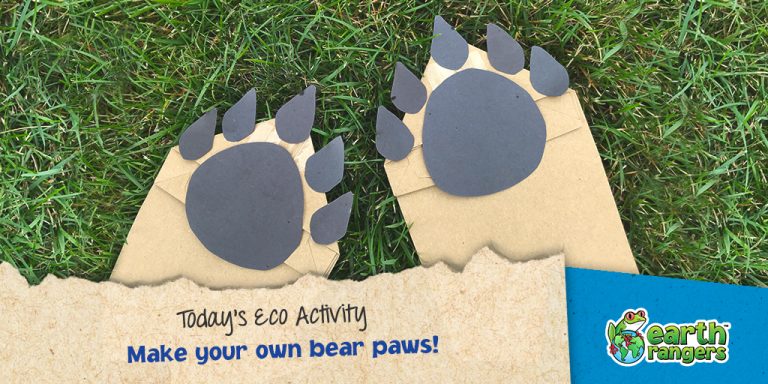 Eco-Activity: Make your own bear paws!