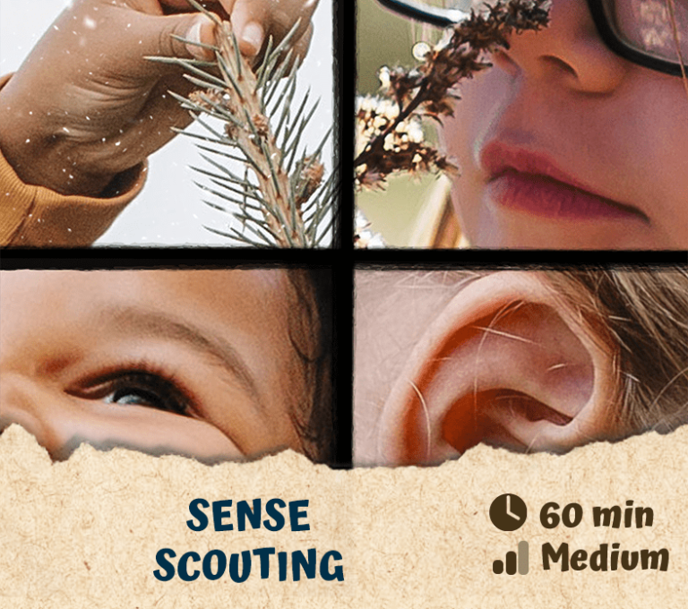 Sense Scouting