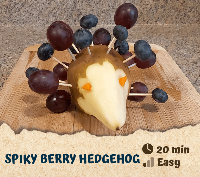 Spiky Berry Hedgehog