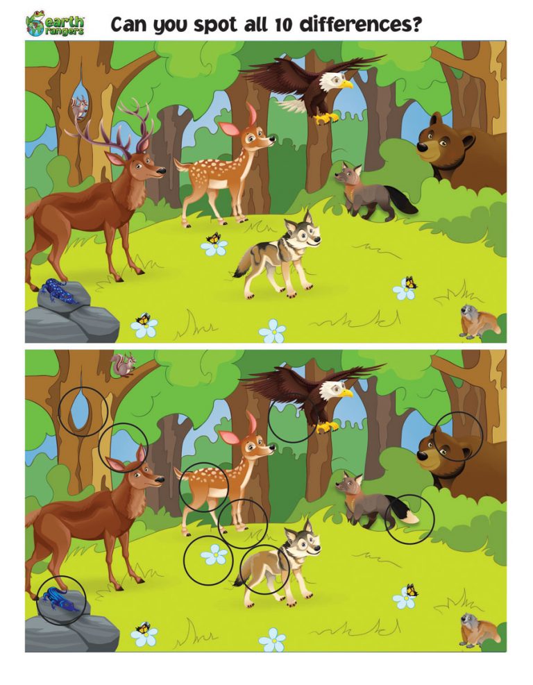 FWW Spot the Difference Answers - Where kids go to save animals!